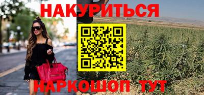 дистиллят марихуана Гай