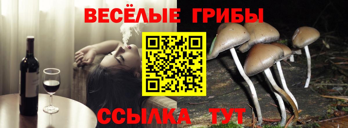 Псилоцибиновые грибы мухоморы  даркнет сайт  Симферополь  Галлюциногенные грибы мухоморы  Вход с VPN 